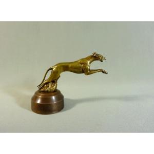 Automobile Or Car Mascot  Bronze Greyhound Dog Radiator Cap By Charles, Early 20th Century