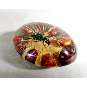 Pierre Giraudon Bioplastique Paris, Scarab Inclusion On A Bed Of Leaves, Seeds And Plant Fibres