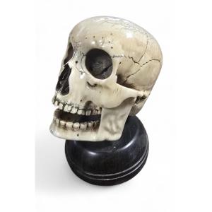 Late 19th-century Sculpted Skull With Wooden Base