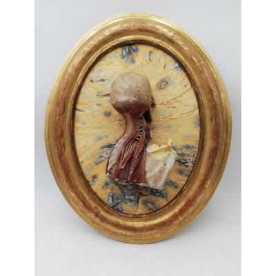 Broken Plaster XIXth