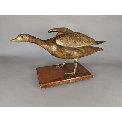 Metallic Donkey Goose 50