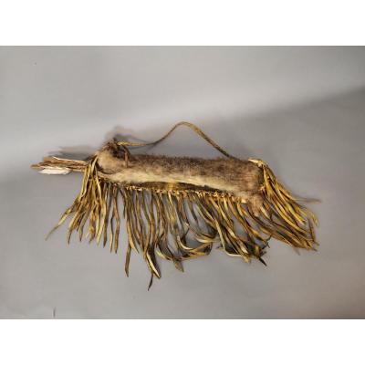 QUIVER AVEC FLÈCHES Indienne Nord-amÉricaine