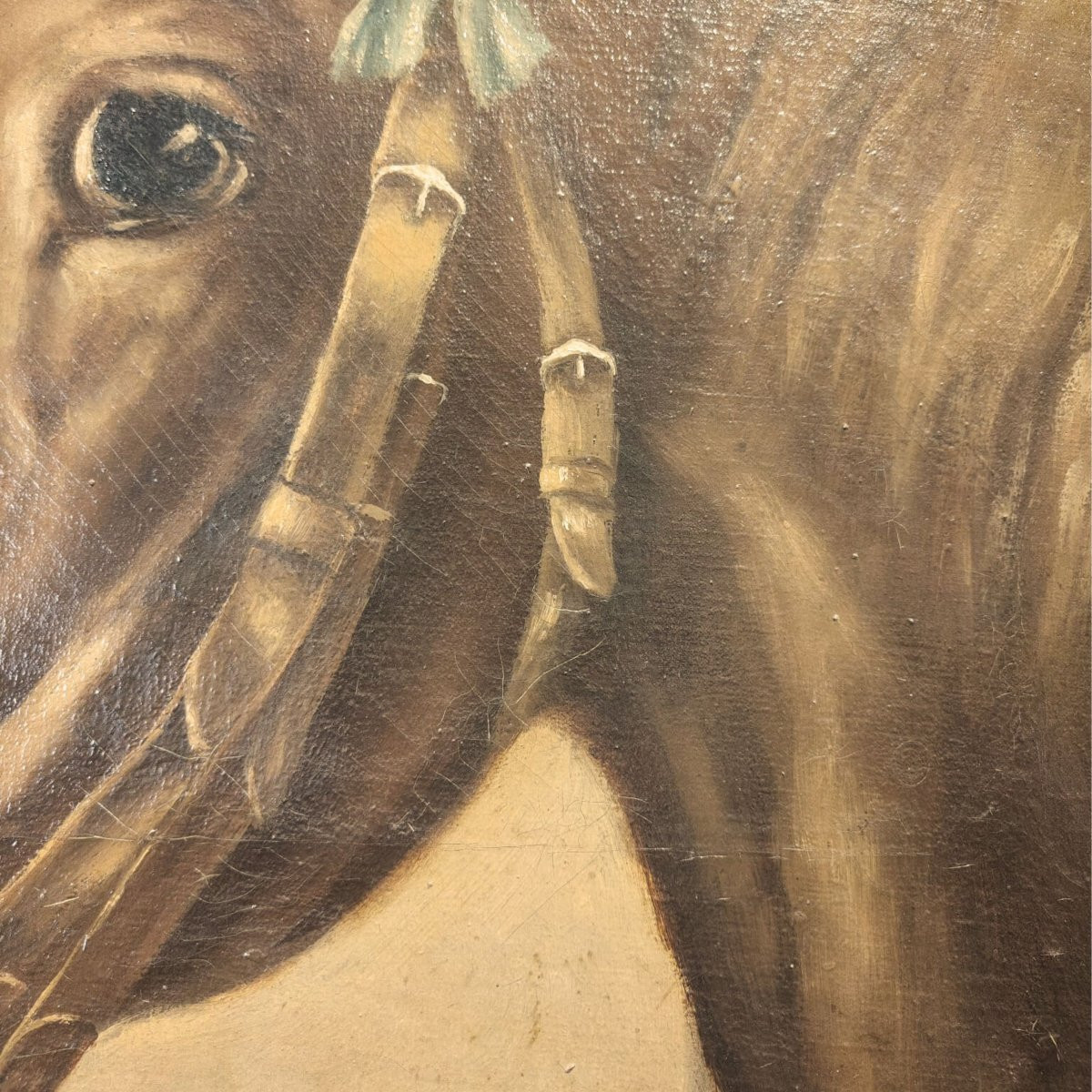 Olio su tela, "Ritratto di Cavallo", di Giuseppe Crespi, inizio '900, Italia -photo-2