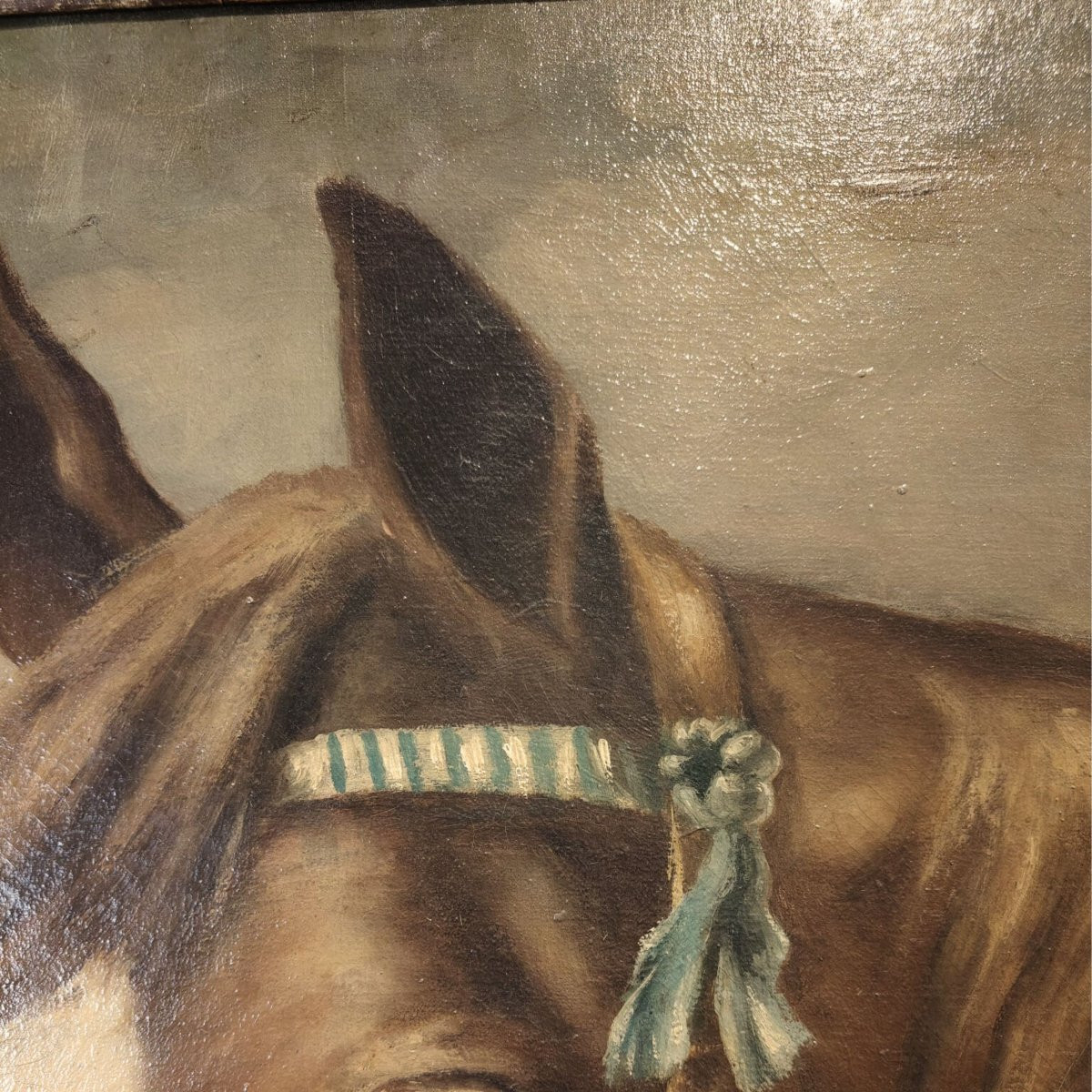Olio su tela, "Ritratto di Cavallo", di Giuseppe Crespi, inizio '900, Italia -photo-3