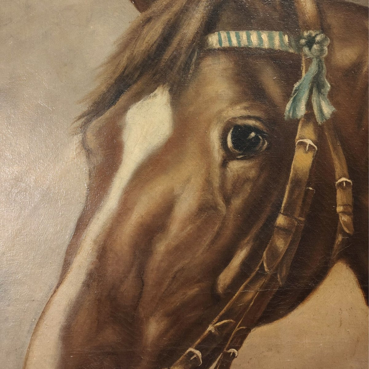 Olio su tela, "Ritratto di Cavallo", di Giuseppe Crespi, inizio '900, Italia -photo-4