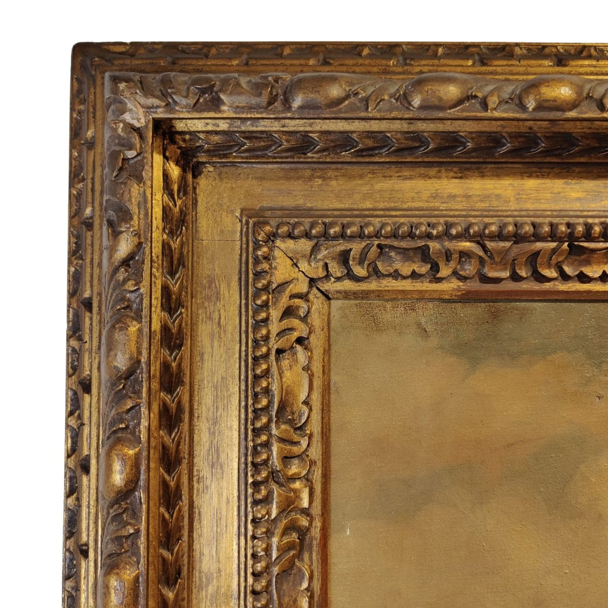 Olio su tela, "Ritratto di Cavallo", di Giuseppe Crespi, inizio '900, Italia -photo-1