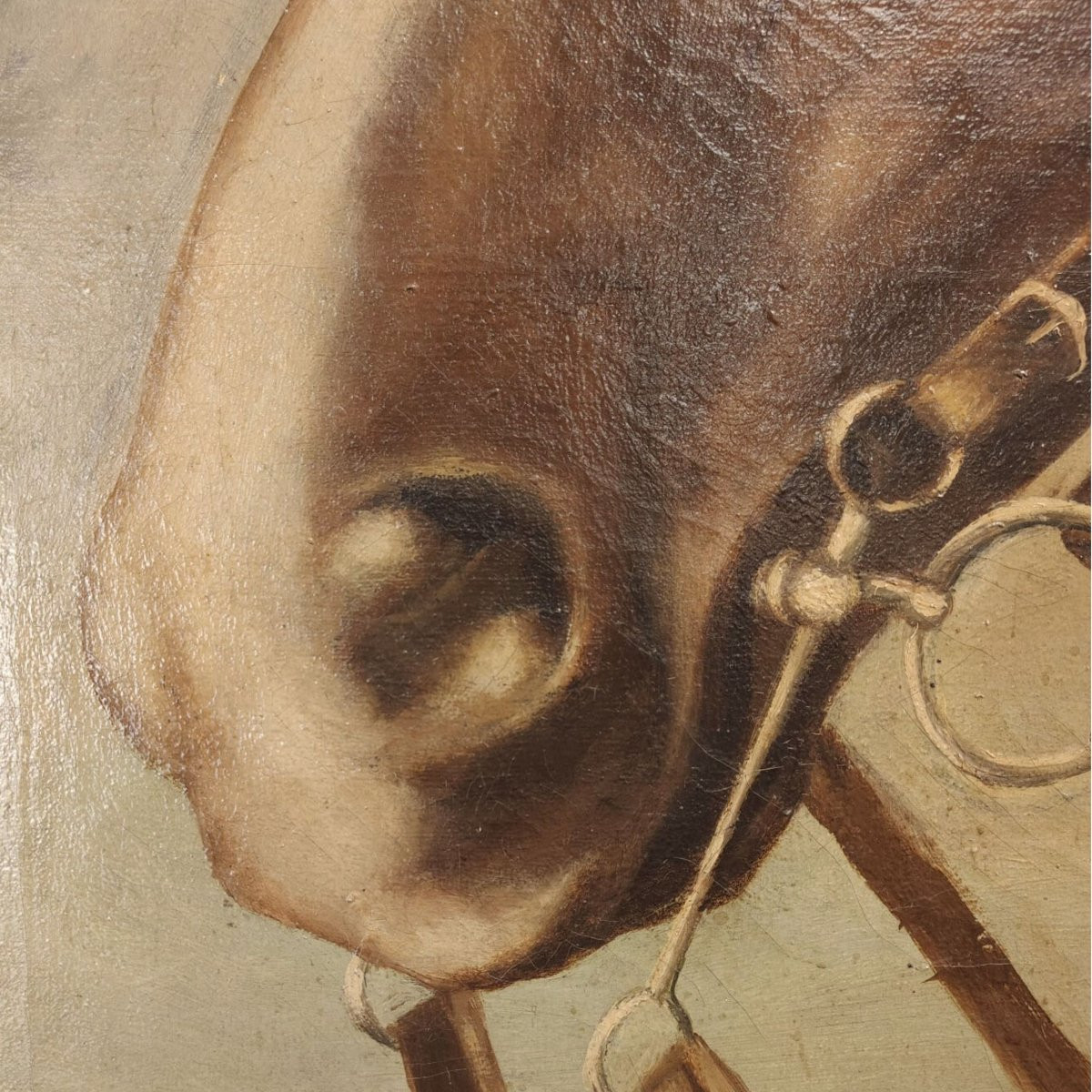 Olio su tela, "Ritratto di Cavallo", di Giuseppe Crespi, inizio '900, Italia -photo-2