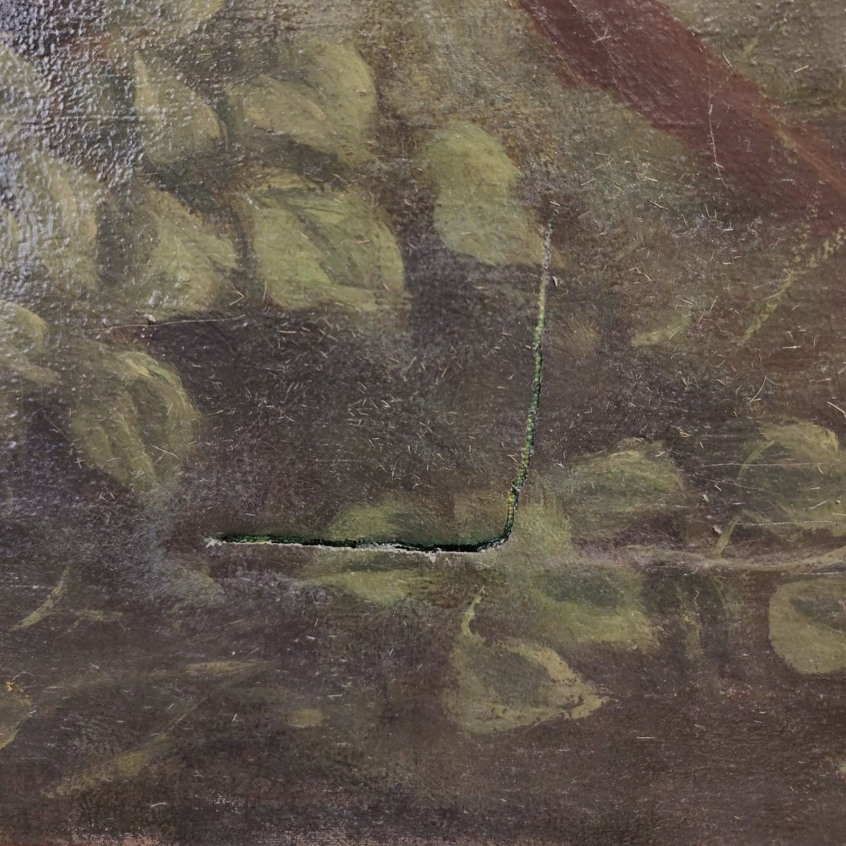 Olio su tela, "Ritratto di Cavallo", di Giuseppe Crespi, inizio '900, Italia -photo-3