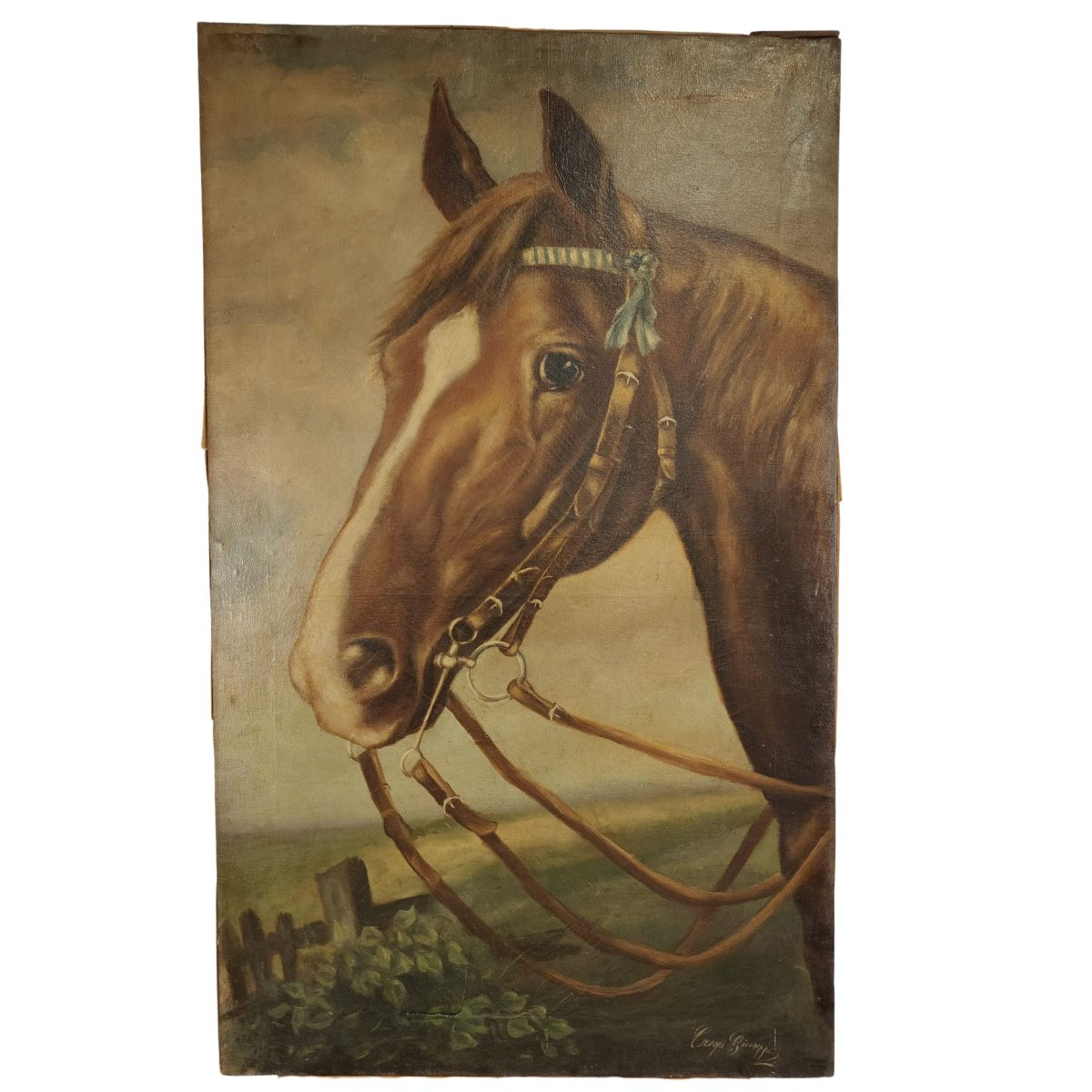 Olio su tela, "Ritratto di Cavallo", di Giuseppe Crespi, inizio '900, Italia -photo-5