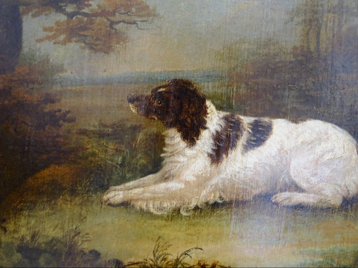 Paesaggio con cane, pittura a olio su tela, Inghilterra, XIX secolo-photo-3