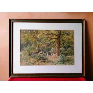 Watercolor By Charles Ligny