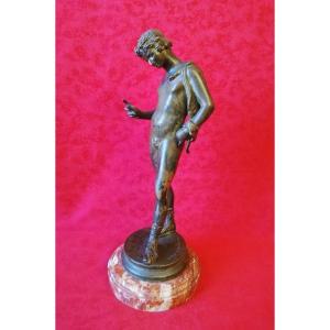 Narcissus Of Pompeii Grand Tour  