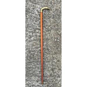 Horse Cane With System