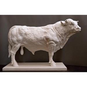 Jean-paul Gourdon "stopped Bull" Large Plaster Limited Edition