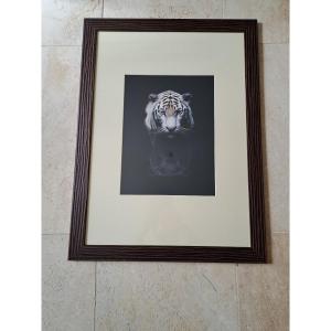 Anup Shah, Photography, 20th Century.