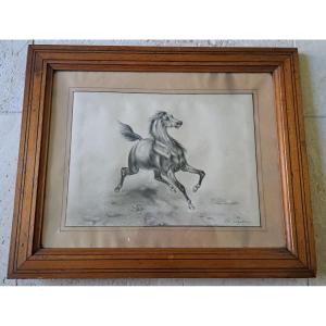 French School, A Horse, Drawing, 19th Century.