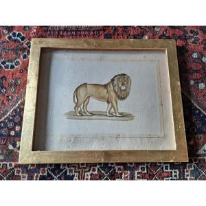 La Roche Laffitte, Lion, Watercolor, 20th Century.