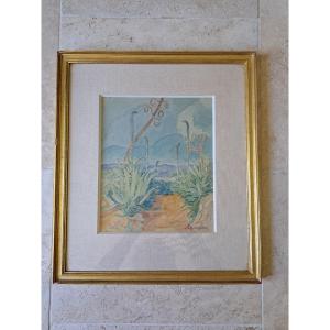 Agaves, Watercolor, M.hansen, 20th Century.