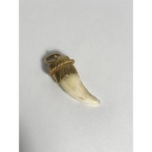 Tooth With 18k Gold Setting