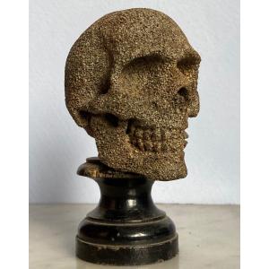 Whale Bone Memento Mori