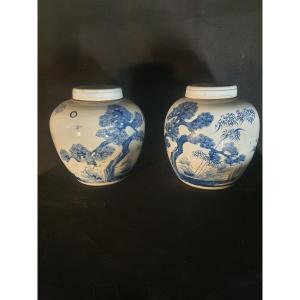 Pair Of Chinese Ming Style Covered Vases.