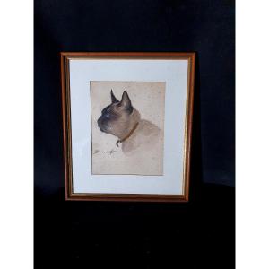 Siamese Cat Painting By Nicolas Safranoff.