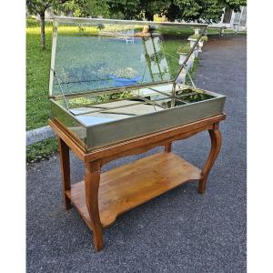 Siégel: Flat Brass Display Cabinet On Table.