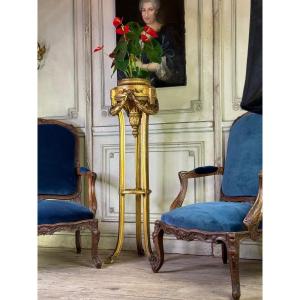 Louis XVI Style Jardiniere In Carved And Gilded Wood Circa 1900 