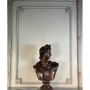 Bronze Bust With A Medal Patina, Apollo Belvedere, Bronze Sculptor Luppens, 19th Century