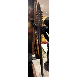 Oceania Aboriginal Mace Head Cracker Australia Queensland Region Early 20th Century Weapon