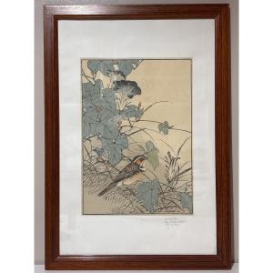 Imao Keinen Japanese Print 1892 Series Birds Plant Serin On The Lookout