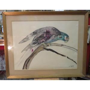 Rare Large Animal Watercolor By Raymond Bigot Perruche Or Parrot Framed