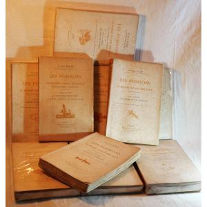 Complete Series Of Books By Doctor Roule: Fish And The Living World Of Water - Sbx24poi001