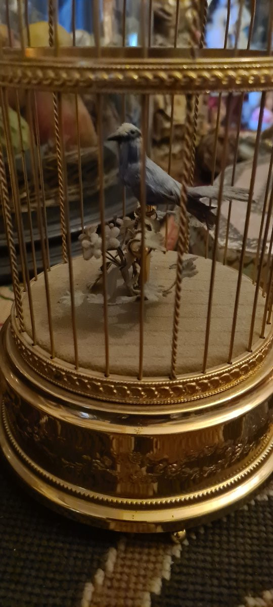 Automa gabbia con uccello  Reuge-photo-2