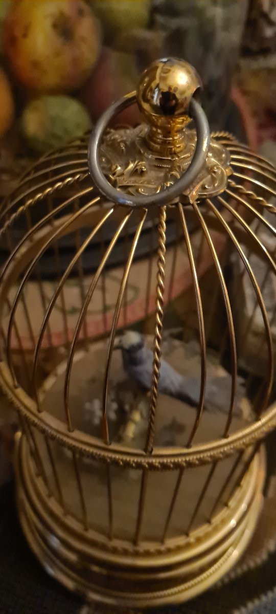 Automa gabbia con uccello  Reuge-photo-1