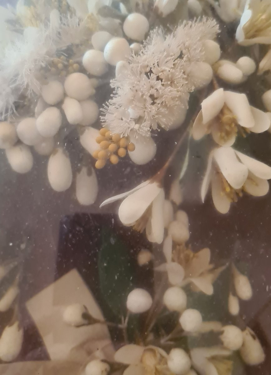 Quadro Napoleone III con fiori di cera-photo-3