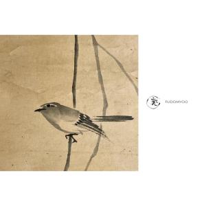 Kakemono Japanese Nightingale Bird Uguisu Ink Asia Japan