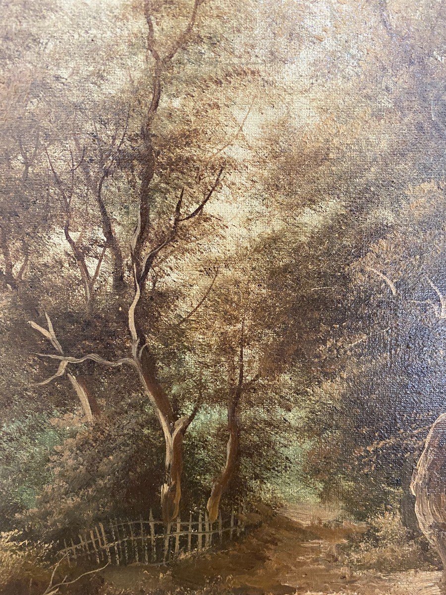 Due dipinti Olio su tela firmati H.Markò (Firenze 1855-1921)-photo-2