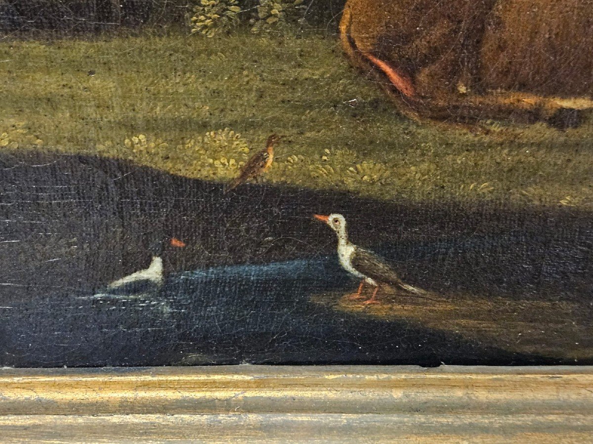 Olio su tela raffigurante la "discesa degli animali dall'Arca" - XVII Sec.-photo-3