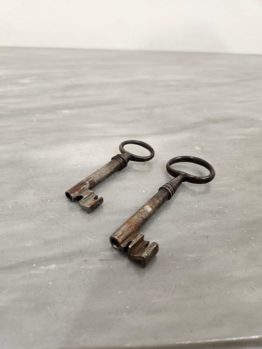 Cassettone Luigi XVI in noce – Piemonte, fine XVIII secolo-photo-3