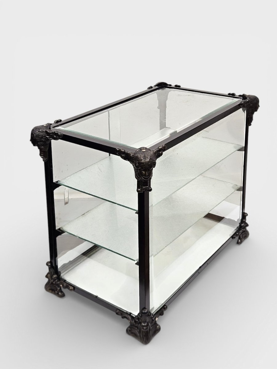 Teca espositiva in ferro, bronzo e vetro – Inizi XX secolo-photo-2