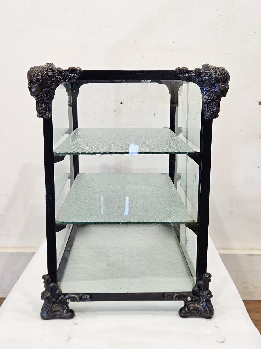 Teca espositiva in ferro, bronzo e vetro – Inizi XX secolo-photo-1