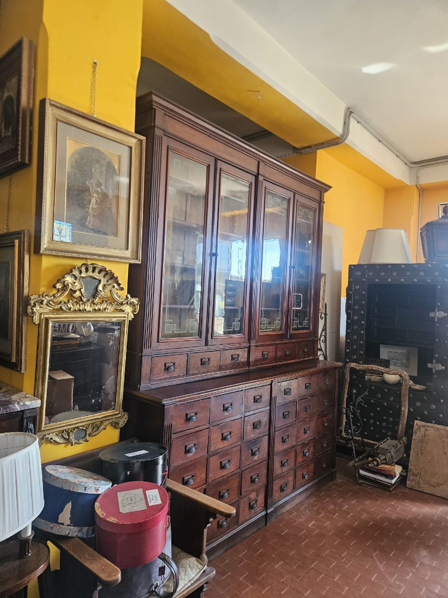 Libreria da farmacia in Larice – fine XIX secolo-photo-4