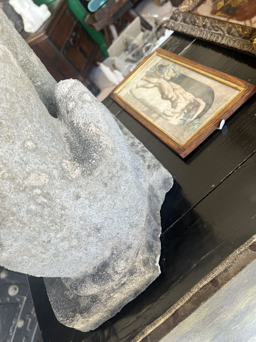 Coppia di leoni in pietra arenaria – Fine XIX secolo-photo-2