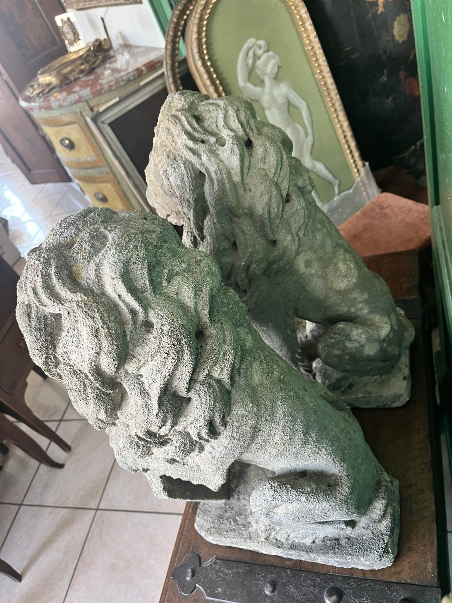 Coppia di leoni in pietra arenaria – Fine XIX secolo-photo-7