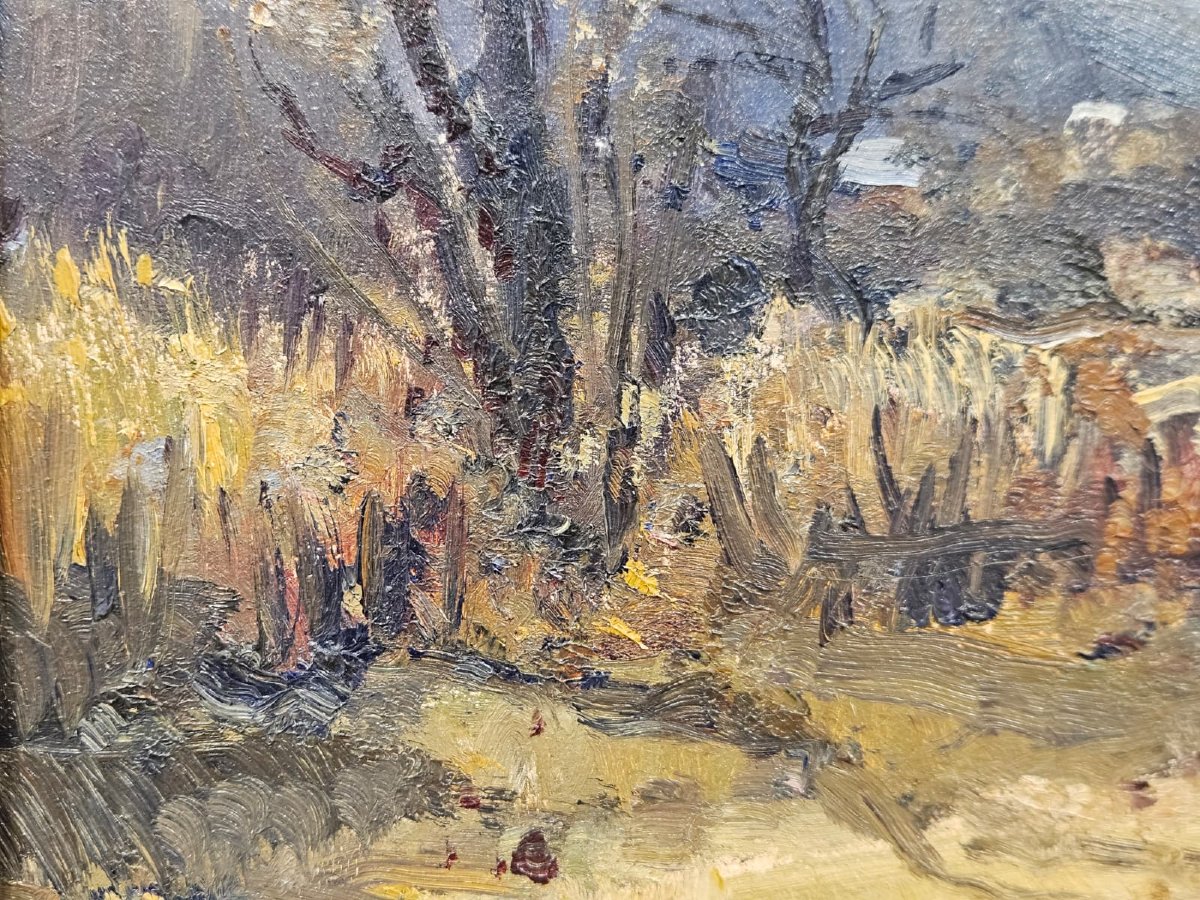 Carlo Musso (1907–1968) – Paesaggio montano – Olio su tavola-photo-1
