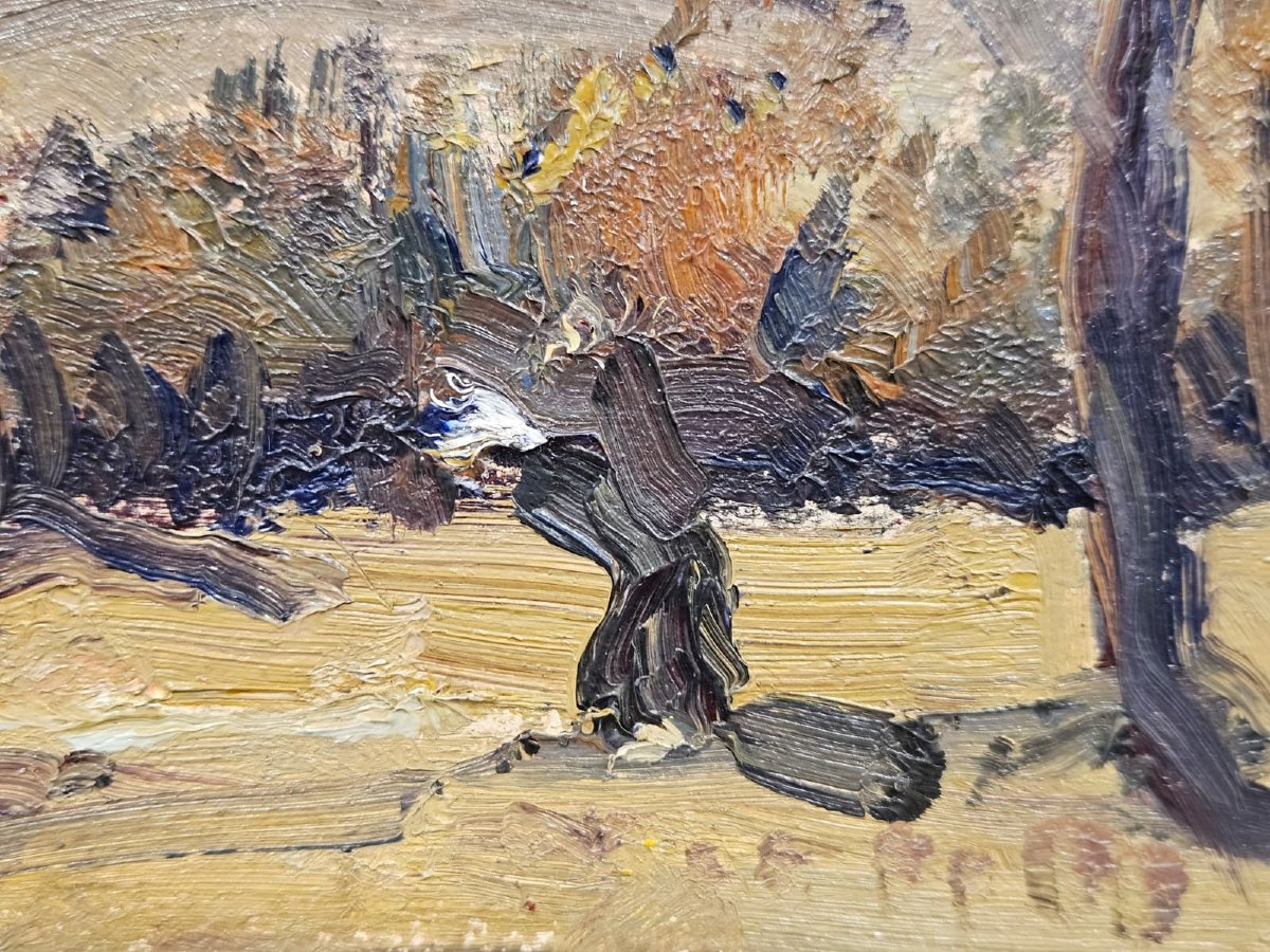 Carlo Musso (1907–1968) – Paesaggio montano – Olio su tavola-photo-2
