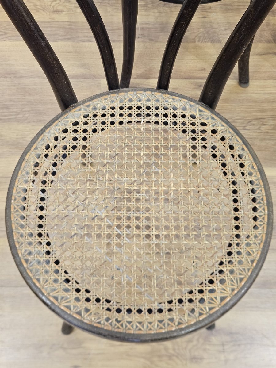 Set di 4 sedie Thonet originali – Legno curvato e paglia di Vienna-photo-7