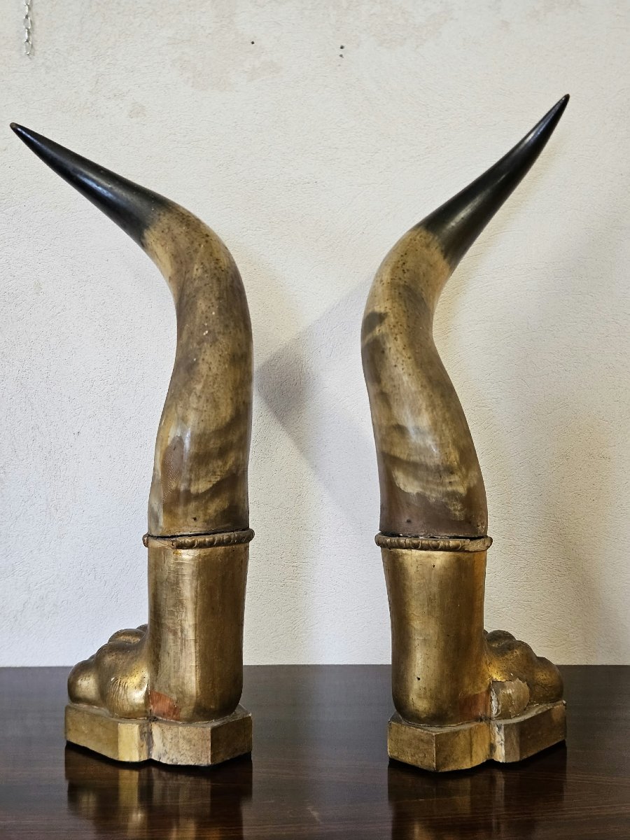 Coppia di corna di bue con basi in legno intagliato e dorato–Prima metà XIX Sec.-photo-3