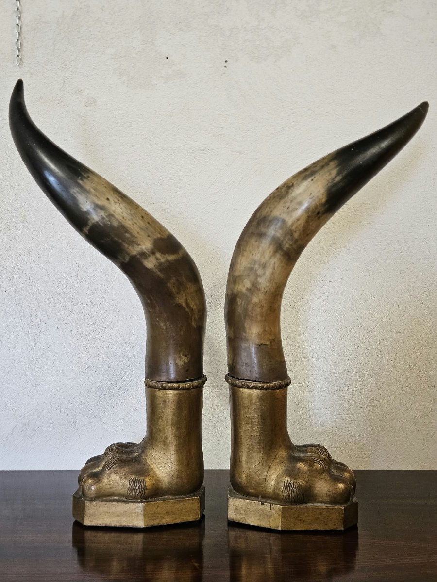 Coppia di corna di bue con basi in legno intagliato e dorato–Prima metà XIX Sec.-photo-4